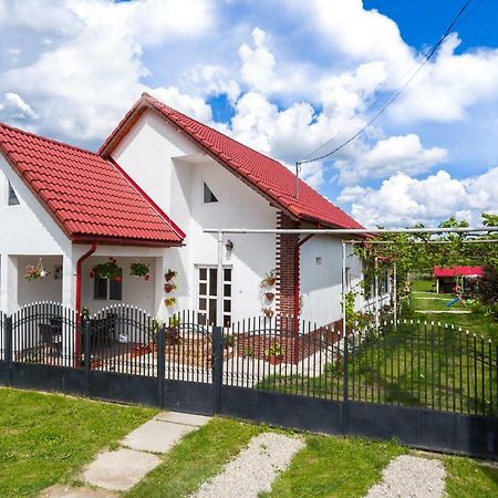 Casa De Vacanta Marya 巴亚德菲耶尔 外观 照片