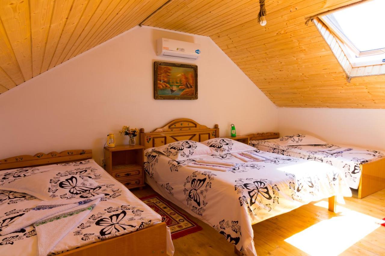Casa De Vacanta Marya 巴亚德菲耶尔 外观 照片