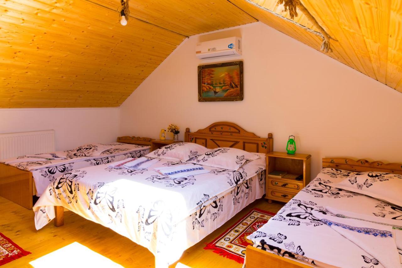 Casa De Vacanta Marya 巴亚德菲耶尔 外观 照片