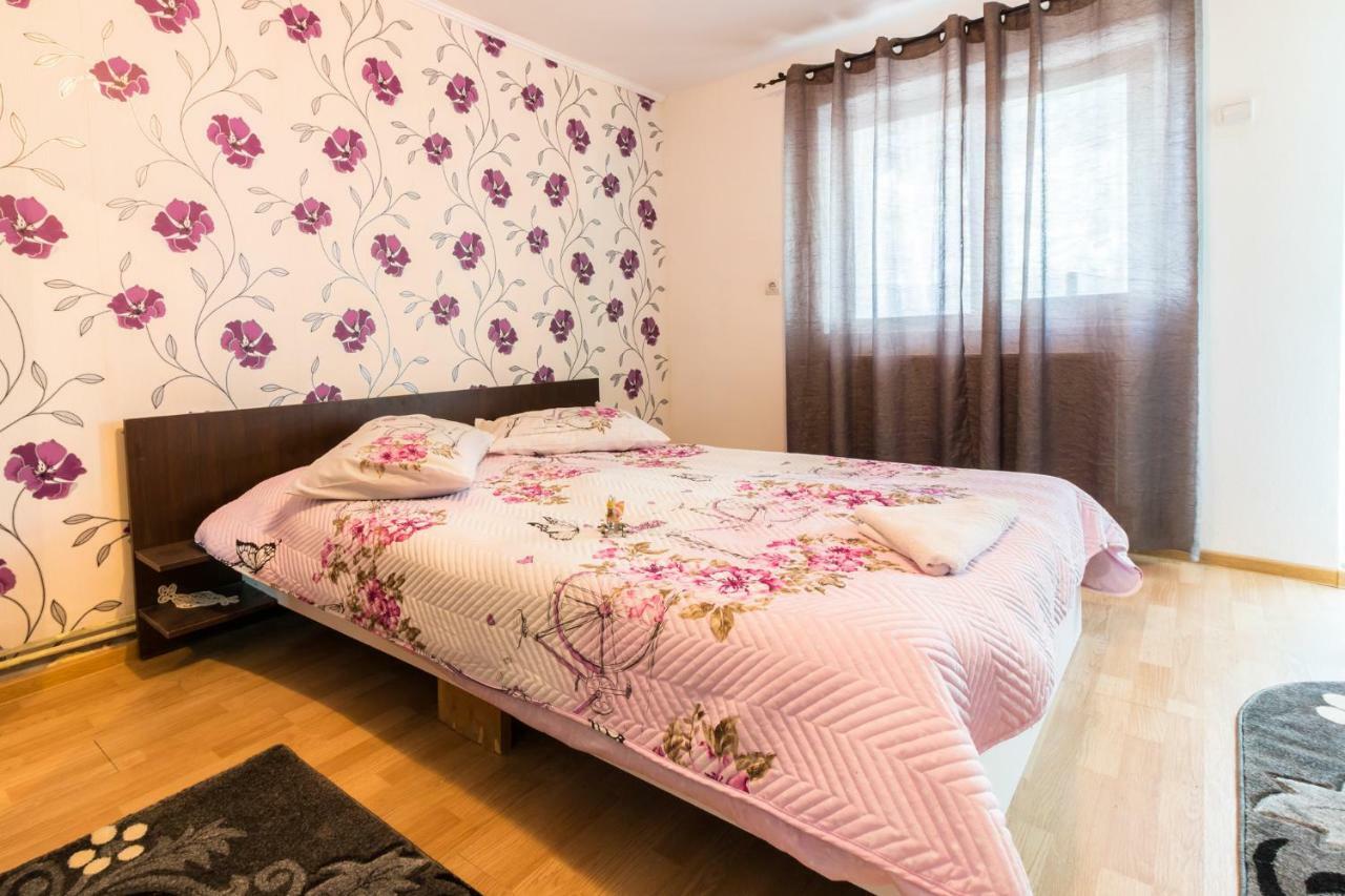 Casa De Vacanta Marya 巴亚德菲耶尔 外观 照片