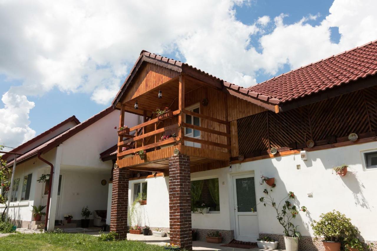 Casa De Vacanta Marya 巴亚德菲耶尔 外观 照片